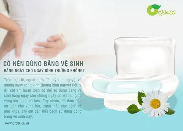 Có Nên Dùng Băng Vệ Sinh Hàng Ngày Không? Cẩm Nang Toàn Diện Cho Phái Nữ
