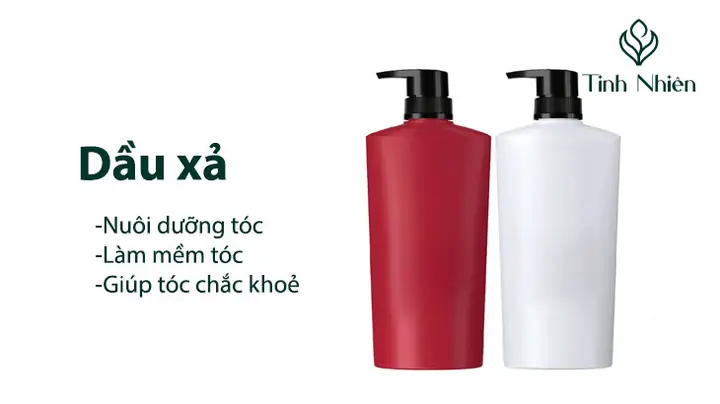 Có Nên Dùng Dầu Xả Mỗi Ngày Hay Không? Hướng Dẫn Sử Dụng Đúng Cách Cho Tóc Khỏe Đẹp