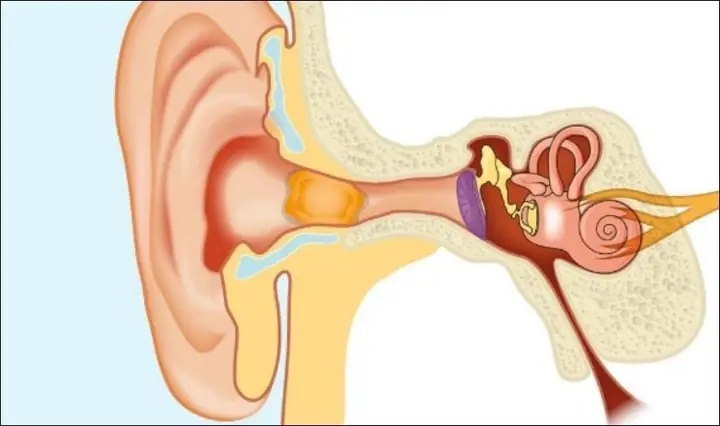 Có Nên Lấy Ráy Tai Cho Trẻ Không? Hướng Dẫn Chăm Sóc Tai An Toàn Cho Bé