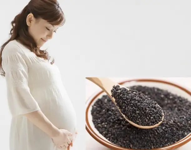 Bà Bầu Có Nên Ăn Mè Đen Không? Lợi Ích Và Lưu Ý Chi Tiết Bà Bầu Có Nên Ăn Mè Đen Không? Lợi Ích Và Lưu Ý Chi Tiết