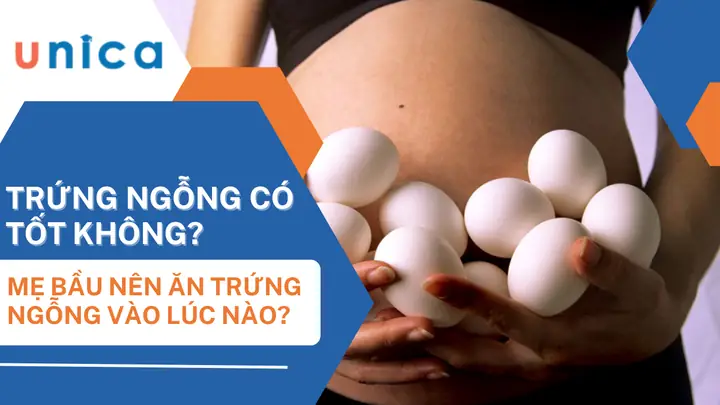 Bà Bầu Nên Ăn Trứng Ngỗng Vào Thời Điểm Nào Để Tốt Cho Thai Kỳ Và Thai Nhi?