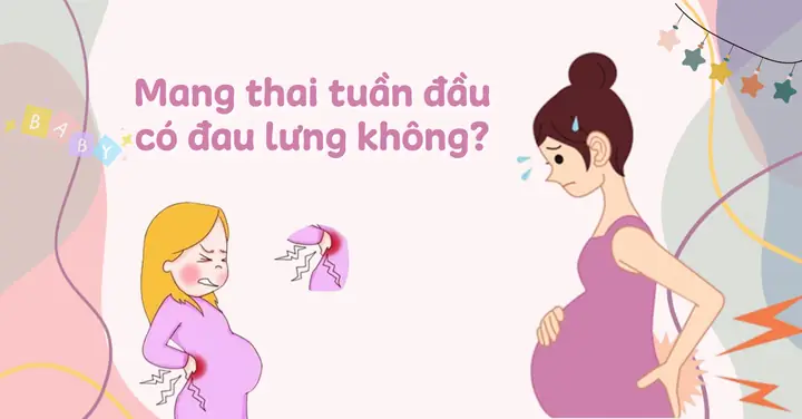 Mang Thai Tuần Đầu Có Đau Lưng Không? Nguyên Nhân Và Cách Giảm Thiểuu Đau Hiệu Quả Mang Thai Tuần Đầu Có Đau Lưng Không? Nguyên Nhân Và Cách Giảm Thiểuu Đau Hiệu Quả