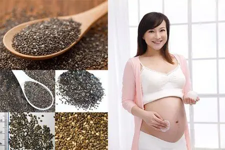 Công Dụng Hạt Chia Cho Bà Bầu: Lợi Ích Vàng Cho Mẹ Và Thai Nhi Toàn Diện