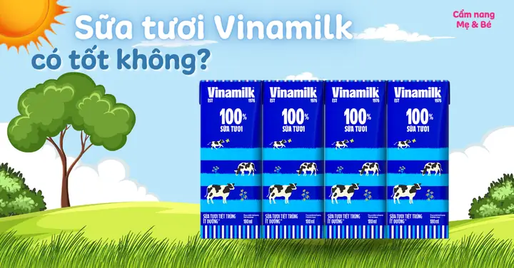 Công Dụng Tuyệt Vời Của Sữa Tươi Vinamilk: Bổ Sung Dinh Dưỡng Toàn Diện Cho Mọi Lứa Tuổi