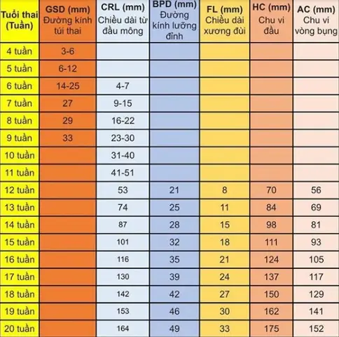 Công Thức Tính Tuổi Thai Theo Bề Cao Tử Cung: Hướng Dẫn Chi Tiết & Chính Xác Nhất