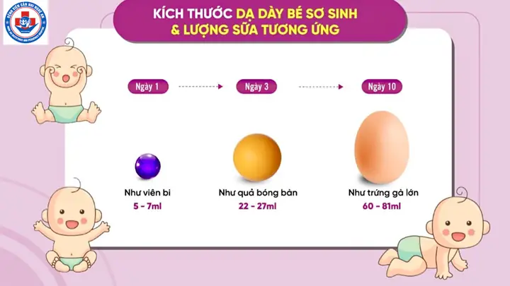 Trẻ 2 Tháng Tuổi: Kích Thước, Chức Năng Dạ Dày Và Cách Chăm Sóc Đúng Chuẩn
