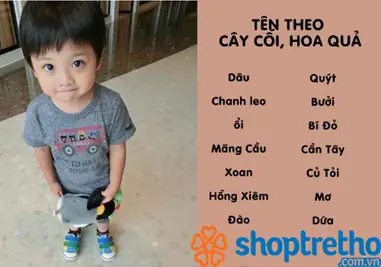 200+ Tên Ở Nhà Cho Bé Trai Hay, Ý Nghĩa, Độc Đáo & Dễ Thương Nhất 2026 200+ Tên Ở Nhà Cho Bé Trai Hay, Ý Nghĩa, Độc Đáo & Dễ Thương Nhất 2026