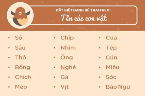 Gợi Ý Tên Gọi Ở Nhà Cho Bé Trai: Hơn 300+ Biệt Danh Hay, Độc Đáo, Dễ Thương & Dễ Nuôi