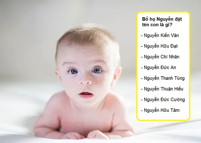 Gợi Ý Đặt Tên Con Trai Họ Nguyễn 2019: Ý Nghĩa, Phong Thủy Và Vận May Cả Đời