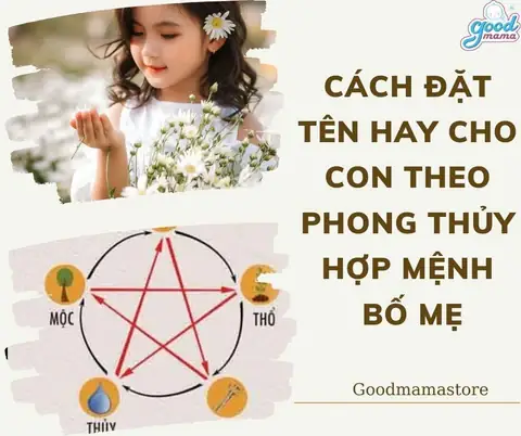 Đặt Tên Con Theo Mệnh Mộc: Gợi Ý Hay, Ý Nghĩa & Hợp Phong Thủy Cho Bé Trai, Bé Gái