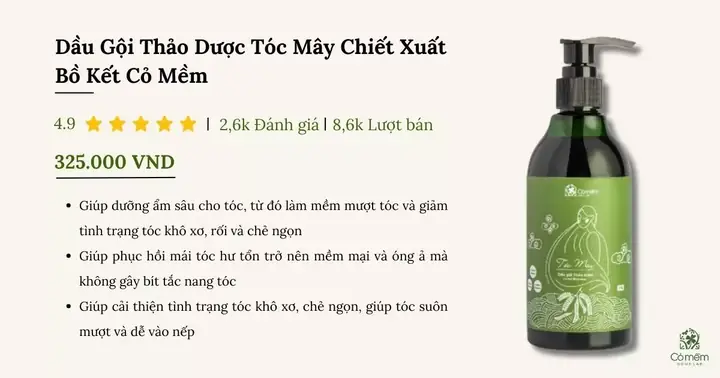 Dầu Gội Cho Tóc Khô Và Rụng: Top Lựa Chọn Phục Hồi Tóc Toàn Diện