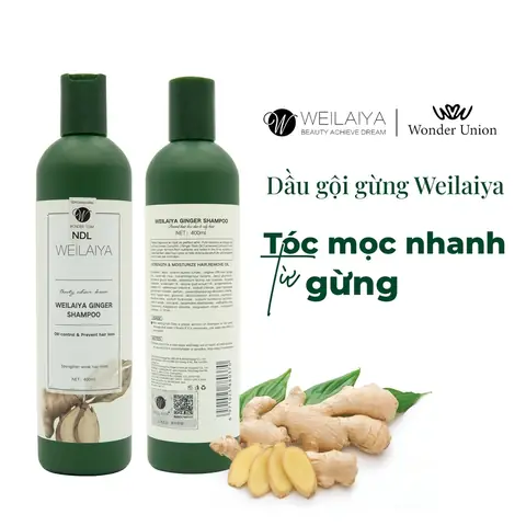 Dầu Gội Mọc Tóc Đài Loan: Top Sản Phẩm Hiệu Quả & Cách Chọn Phù Hợp