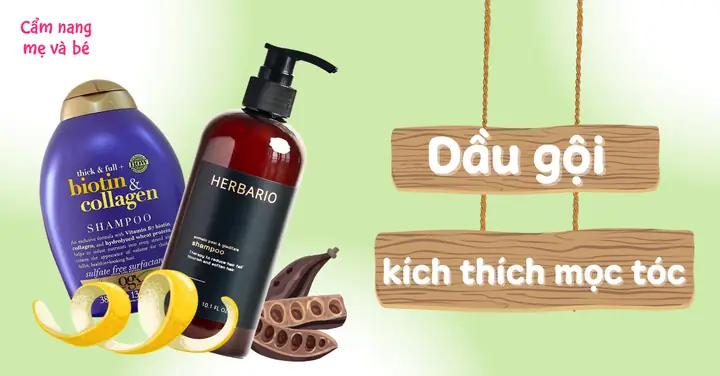 Top Dầu Gội Kích Thích Mọc Tóc Dày Và Nhanh Nhất: Lựa Chọn Hoàn Hảo Cho Mái Tóc Bồng Bềnh