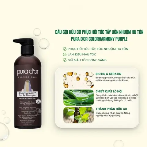 Top 10 Dầu Gội Phục Hồi Tóc Tẩy Tốt Nhất & Cách Chọn Phù Hợp