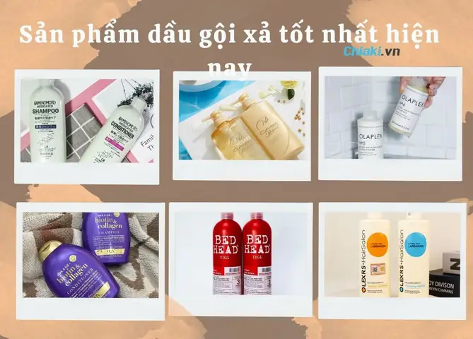 Top Dầu Gội Tốt Nhất Thế Giới: Bí Quyết Cho Mái Tóc Hoàn Hảo