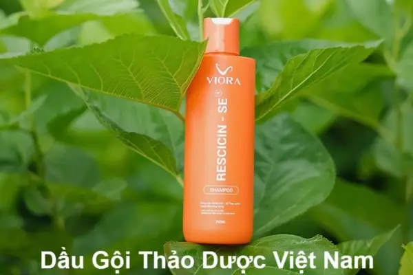 Top Dầu Gội Tốt Nhất Việt Nam: Lựa Chọn Hoàn Hảo Cho Mái Tóc Chắc Khỏe, Mượt Mà