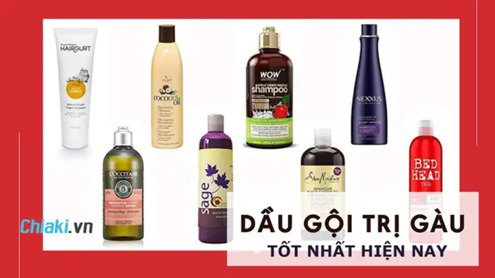 Top 10+ Dầu Gội Trị Gàu Tốt Nhất: Chọn Loại Nào Cho Da Đầu Khỏe Mạnh? Top 10+ Dầu Gội Trị Gàu Tốt Nhất: Chọn Loại Nào Cho Da Đầu Khỏe Mạnh?