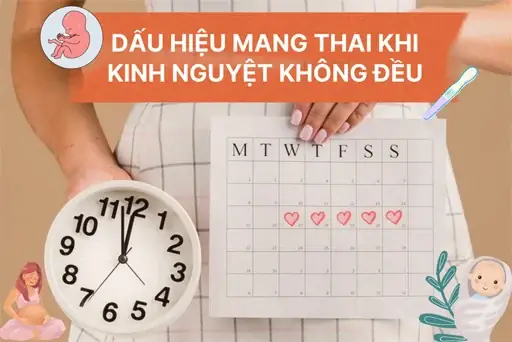 Dấu Hiệu Mang Thai Khi Kinh Nguyệt Không Đều: Nhận Biết Sớm Và Chính Xác Dấu Hiệu Mang Thai Khi Kinh Nguyệt Không Đều: Nhận Biết Sớm Và Chính Xác