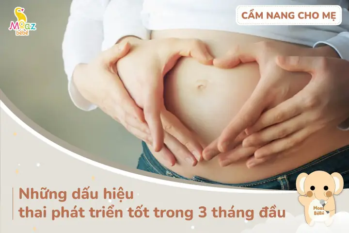 10 Dấu Hiệu Thai Phát Triển Tốt Trong 3 Tháng Đầu & Lưu Ý Quan Trọng Cho Mẹ Bầu