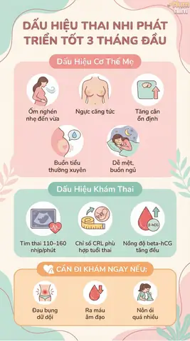 10 Dấu Hiệu Thai Phát Triển Tốt Trong 3 Tháng Đầu & Lưu Ý Quan Trọng Cho Mẹ Bầu