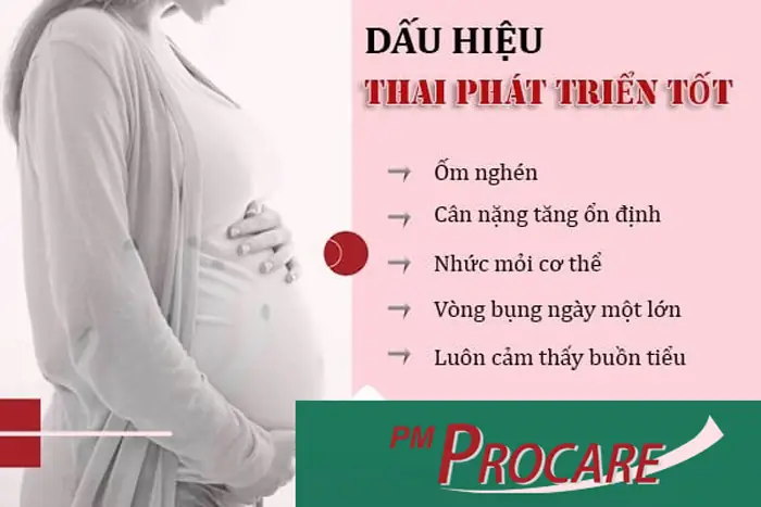 10 Dấu Hiệu Thai Phát Triển Tốt Trong 3 Tháng Đầu & Lưu Ý Quan Trọng Cho Mẹ Bầu