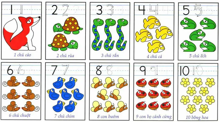 Dạy Số Cho Bé 5 Tuổi: Bí Quyết Hiệu Quả & Vui Nhộn