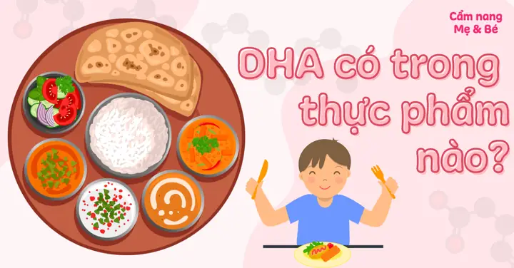 Top 15 Thực Phẩm Giàu Dha Giúp Bổ Sung Dinh Dưỡng Tối Ưu