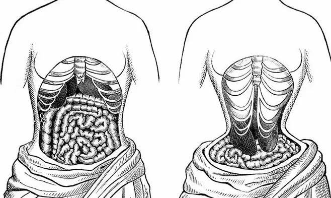 Đai Nịt Bụng Có Tác Hại Gì? Rủi Ro Tiềm Ẩn Khi Lạm Dụng Với Phái Nữ Đai Nịt Bụng Có Tác Hại Gì? Rủi Ro Tiềm Ẩn Khi Lạm Dụng Với Phái Nữ