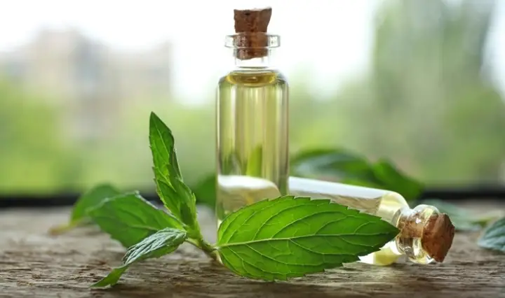 Tinh Dầu: Có Tốt Cho Sức Khỏe Không? Lợi Ích, Lưu Ý Và Cách Sử Dụng An Toàn