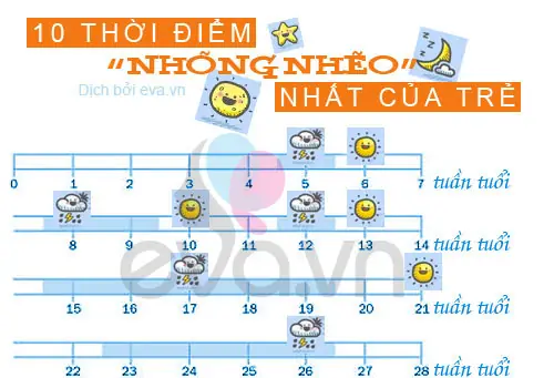 Wonder Week Là Gì? Biểu Hiện, Cách Tính Và Bí Quyết Đồng Hành Cùng Bé Qua Giai Đoạn Phát Triển Nhảy Vọt