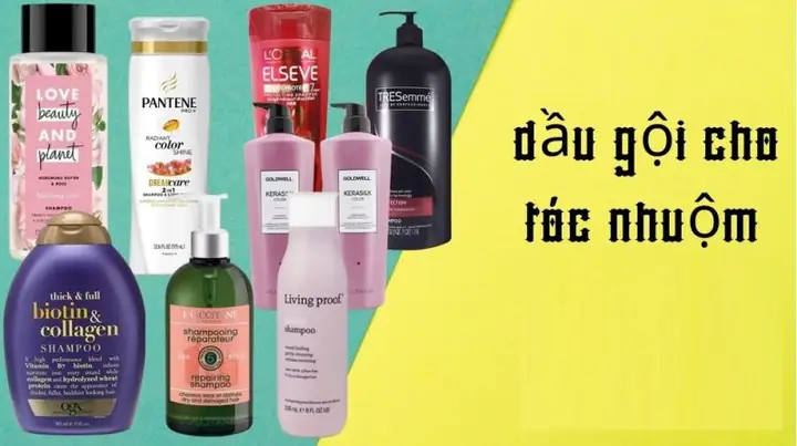 Top 5 Dầu Gội Cho Tóc Nhuộm Giữ Màu Bền Lâu & Lên Tông Chuẩn Màu Top 5 Dầu Gội Cho Tóc Nhuộm Giữ Màu Bền Lâu & Lên Tông Chuẩn Màu