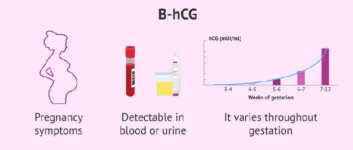Hcg Dương Tính Nhưng Không Có Thai: Nguyên Nhân, Dấu Hiệu Và Cách Xử Lý Hcg Dương Tính Nhưng Không Có Thai: Nguyên Nhân, Dấu Hiệu Và Cách Xử Lý
