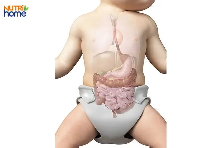 Giãn Ruột Sinh Lý Trẻ Sơ Sinh: Dấu Hiệu, Nguyên Nhân Và Cách Chăm Sóc Hiệu Quả