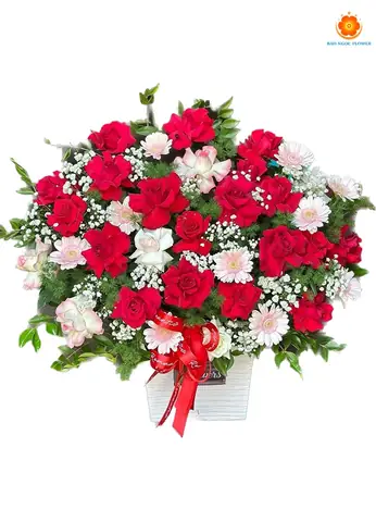 99+ Hình Ảnh Hoa 20/11 Đẹp Nhất: Tuyển Tập Tri Ân Thầy Cô 99+ Hình Ảnh Hoa 20/11 Đẹp Nhất: Tuyển Tập Tri Ân Thầy Cô