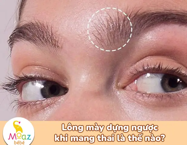 Lông Mày Dựng Ngược Khi Mang Thai: Dấu Hiệu Dân Gian Hay Sự Thật Khoa Học?