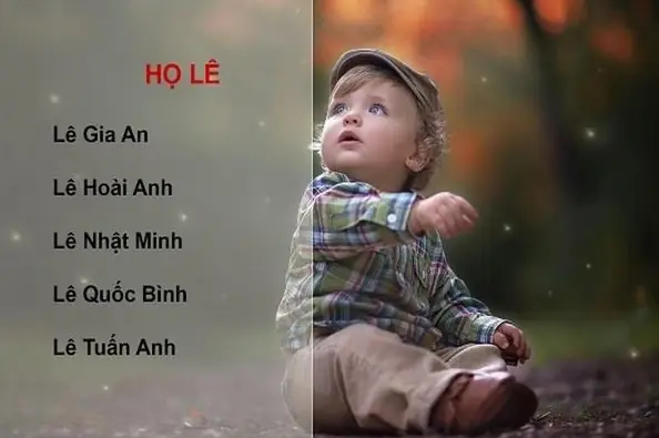 Họ Lê Đặt Tên Con Là Gì: 100+ Gợi Ý Tên Hay, Ý Nghĩa Cho Bé Trai & Bé Gái