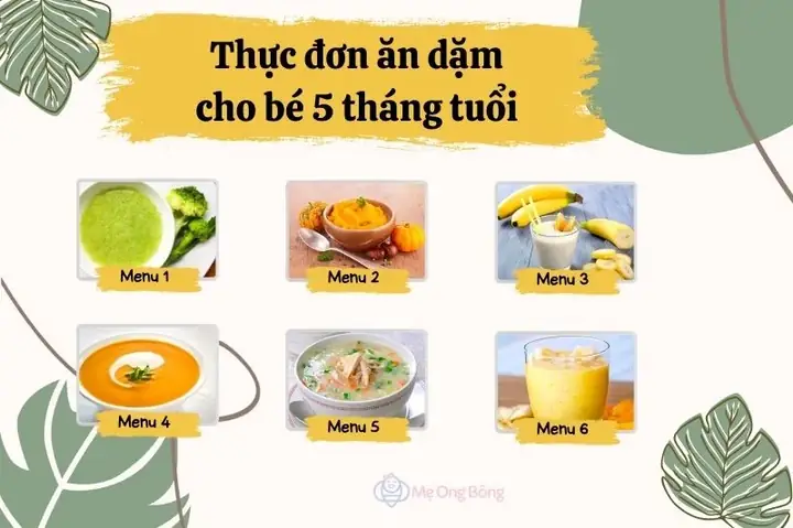 Hướng Dẫn Ăn Dặm Cho Bé 5 Tháng Tuổi: Thực Đơn, Lịch Ăn Chuẩn Chuyên Gia Hướng Dẫn Ăn Dặm Cho Bé 5 Tháng Tuổi: Thực Đơn, Lịch Ăn Chuẩn Chuyên Gia