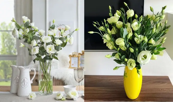 Hướng Dẫn Cắm Hoa Cát Tường Đẹp: Bí Quyết Đơn Giản Cho Mọi Không Gian