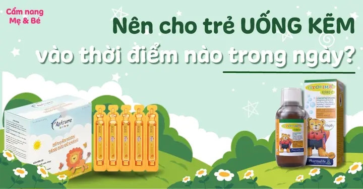Uống Kẽm Thời Điểm Nào Tốt Nhất Để Tối Ưu Hấp Thu?