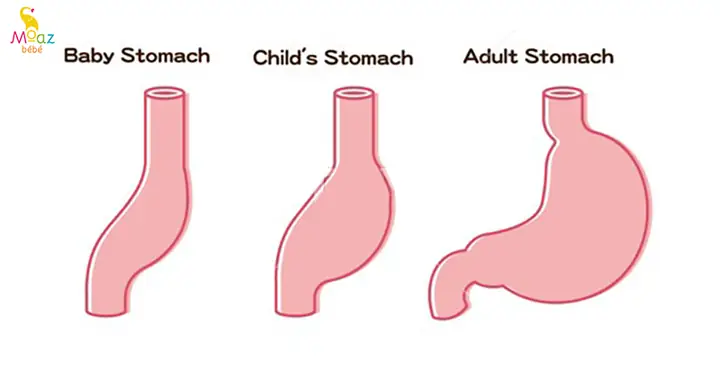 Khi Nào Dạ Dày Trẻ Sơ Sinh Hết Nằm Ngang, Giảm Trớ & Ọc?