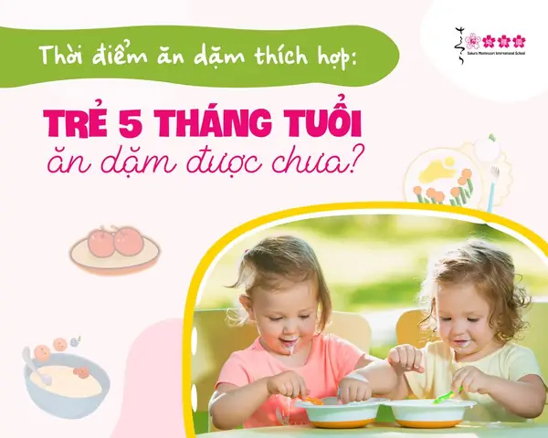 Khi Nào Trẻ Được Ăn Dặm? Dấu Hiệu Sẵn Sàng & Lời Khuyên Từ Chuyên Gia Khi Nào Trẻ Được Ăn Dặm? Dấu Hiệu Sẵn Sàng & Lời Khuyên Từ Chuyên Gia