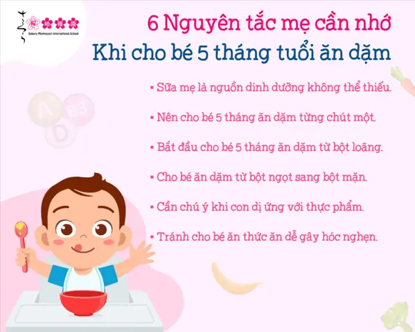 Khi Nào Trẻ Được Ăn Dặm? Dấu Hiệu Sẵn Sàng & Lời Khuyên Từ Chuyên Gia Khi Nào Trẻ Được Ăn Dặm? Dấu Hiệu Sẵn Sàng & Lời Khuyên Từ Chuyên Gia