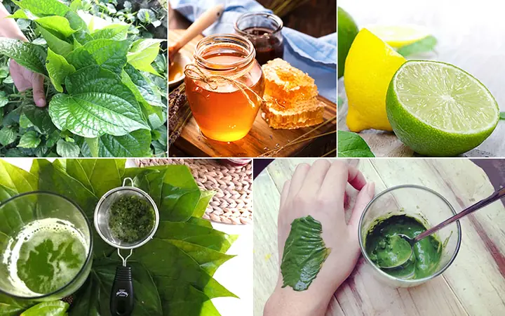 Lá Lốt Đắp Mặt Có Tác Dụng Gì? Công Dụng Làm Đẹp & Cách Dùng Hiệu Quả
