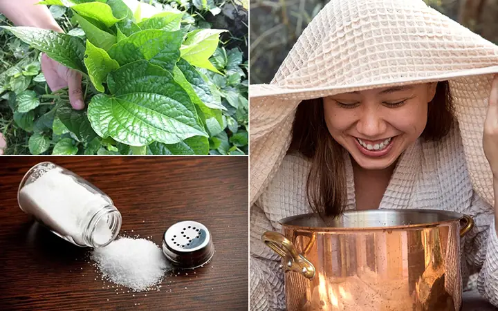 Lá Lốt Đắp Mặt Có Tác Dụng Gì? Công Dụng Làm Đẹp & Cách Dùng Hiệu Quả