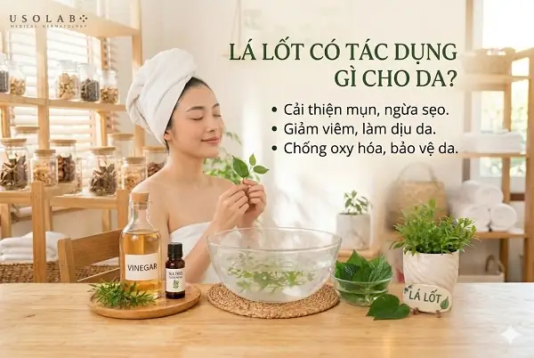 Lá Lốt Đắp Mặt Có Tác Dụng Gì? Công Dụng Làm Đẹp & Cách Dùng Hiệu Quả