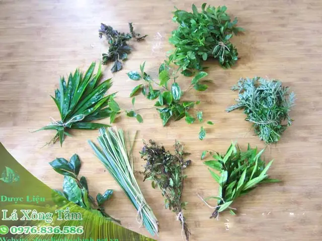 Top 9+ Lá Tắm Sau Sinh Giúp Mẹ Sạch Sẽ, Thơm Tho & Kháng Khuẩn Top 9+ Lá Tắm Sau Sinh Giúp Mẹ Sạch Sẽ, Thơm Tho & Kháng Khuẩn
