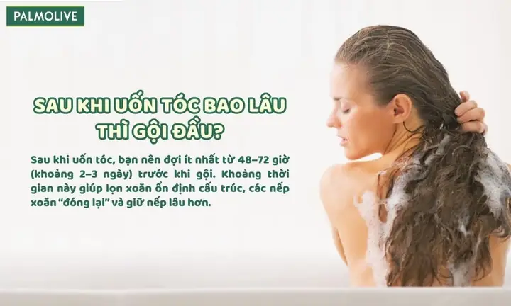 Làm Tóc Xong Bao Lâu Thì Gội Đầu Được? Hướng Dẫn Chi Tiết & Lời Khuyên Từ Chuyên Gia