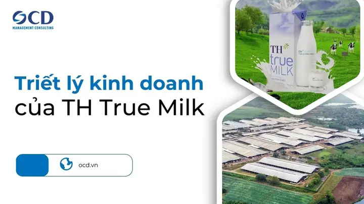 Phân Tích Chi Tiết Lĩnh Vực Kinh Doanh Và Chiến Lược Phát Triển Của Th True Milk Phân Tích Chi Tiết Lĩnh Vực Kinh Doanh Và Chiến Lược Phát Triển Của Th True Milk