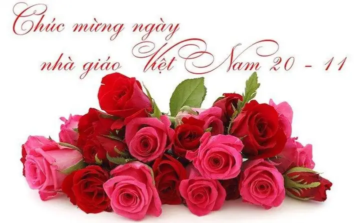 Lời Chúc Ngày Nhà Giáo Việt Nam 20/11 Hay, Ý Nghĩa Nhất Cho Thầy Cô Lời Chúc Ngày Nhà Giáo Việt Nam 20/11 Hay, Ý Nghĩa Nhất Cho Thầy Cô