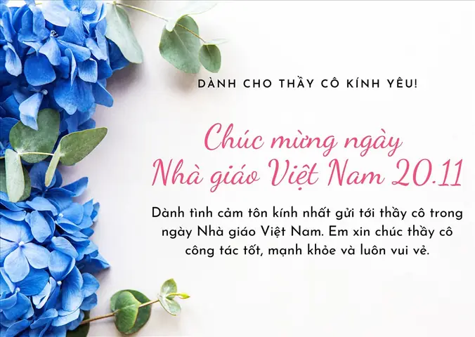 Tổng Hợp Lời Chúc 20/11 Hay Nhất Dành Tặng Thầy Cô Giáo Đầy Ý Nghĩa